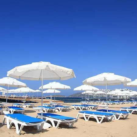 Sundance * Turgutreis