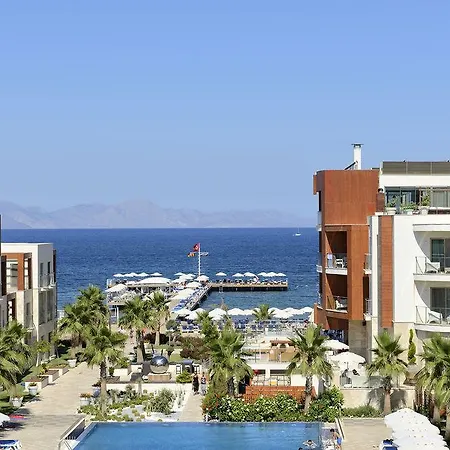 Sundance * Turgutreis